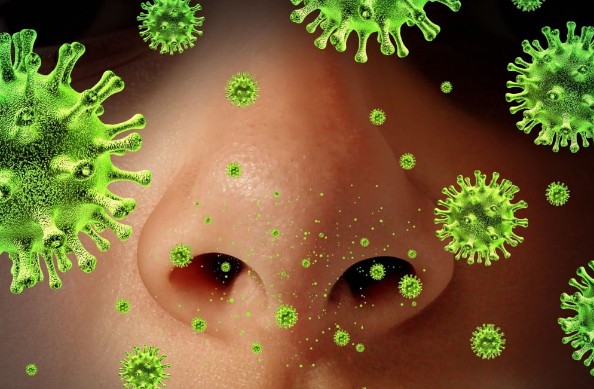 Making HISTAMINE’S work for you