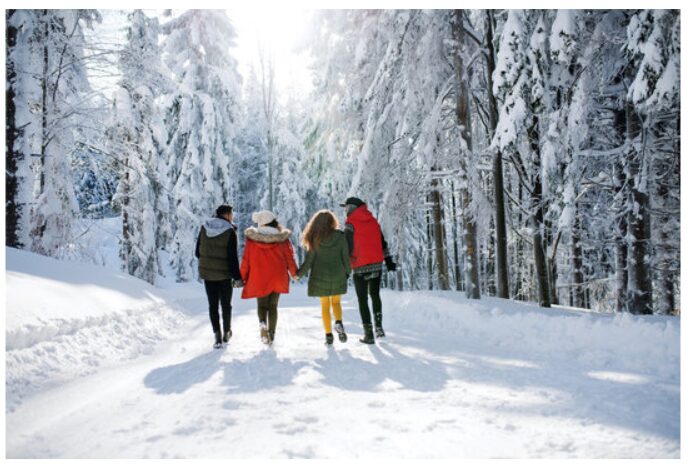 screenshot 2025 11 16 124513